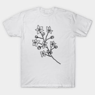 Cherry Blossom Branch-- floral, hand drawn, gifts for plant lovers T-Shirt